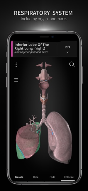 Anatomyka(圖3)-速報App