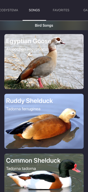 Bird Sounds and Bird Calls(圖1)-速報App