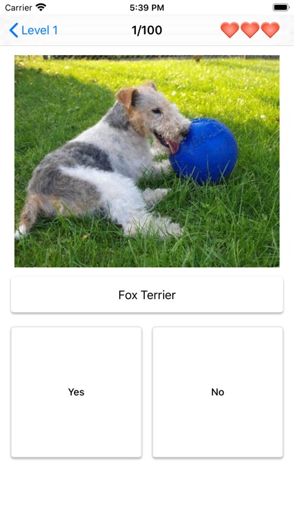 Dog Breeds Quiz - Dog Games screenshot-6