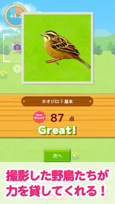 鳥マスター Iphoneアプリ Applion