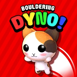 Bouldering Dyno