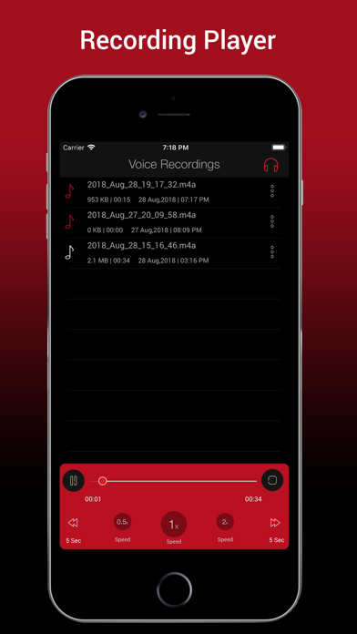 Voice Recorder HD :Audio Memos screenshot 4