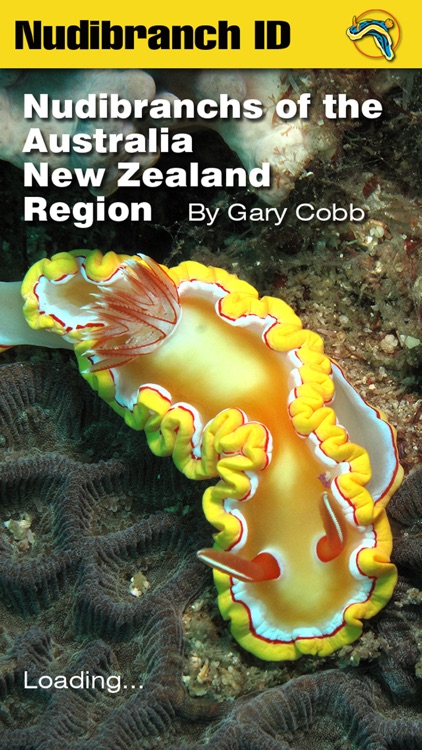 Nudibranch ID Australia NZ