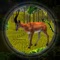 If you like to hunt like a pro hunter and you don't have much time to go and hunt just because of lack of time and due o some restrictions then Real Deer Hunter - Sniper Strike provides you a realistic jungle environment and a sniper gun for you to hunt down bunch of animals