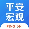 平安宏观 Finance