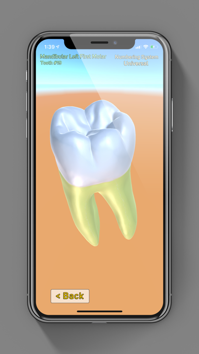 3D Tooth Anatomy screenshot 2
