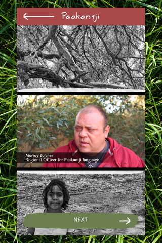 SharingStories Languages - náhled