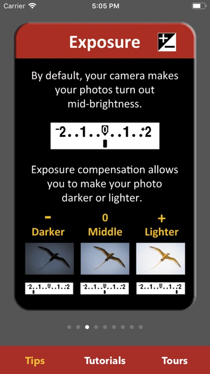 Camera Cards