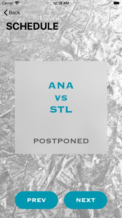 Hockey Passion screenshot-4