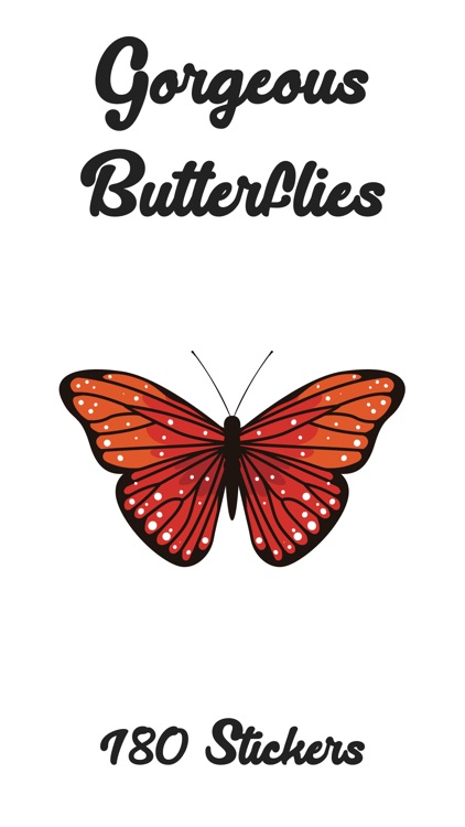 Gorgeous Butterflies