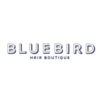 latest bluebird app