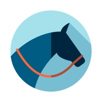 Cheval Quiz Jeu 2019 sur PC