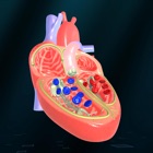 Top 37 Education Apps Like Heart - An incredible pump - Best Alternatives