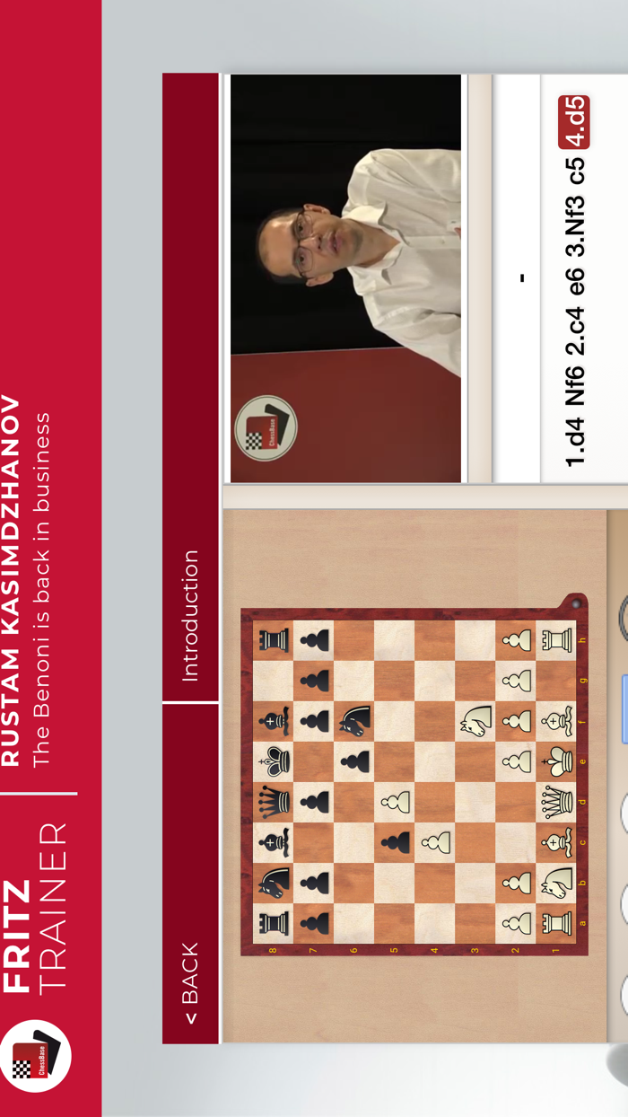 The Benoni is back in business