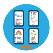 English Picture Dictionary Pro