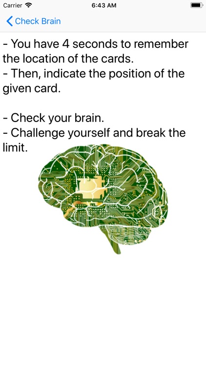 Brain Metrix Training Game