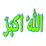 Get Greetings in Islam Arabic Way for iOS, iPhone, iPad Aso Report