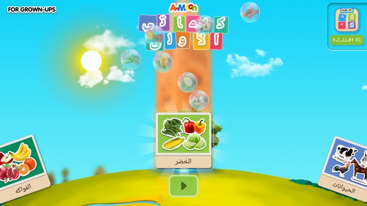 Learn Arabic Words & Alphabet screenshot-5