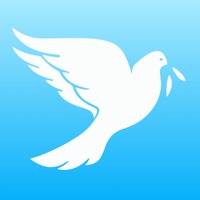 CC SHALOM pour PC