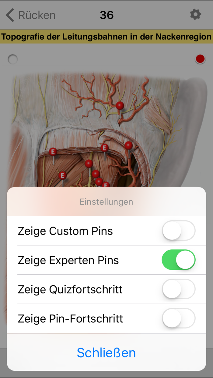 PROMETHEUS - LernKarten