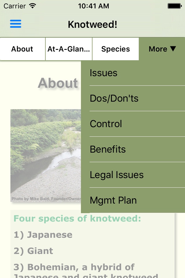 Knotweed! screenshot 4