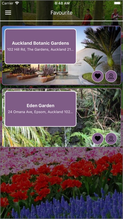 Auckland Garden Place screenshot-6