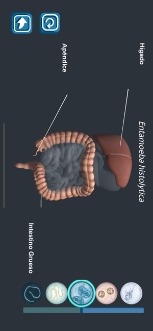 Enteropara-site(圖5)-速報App