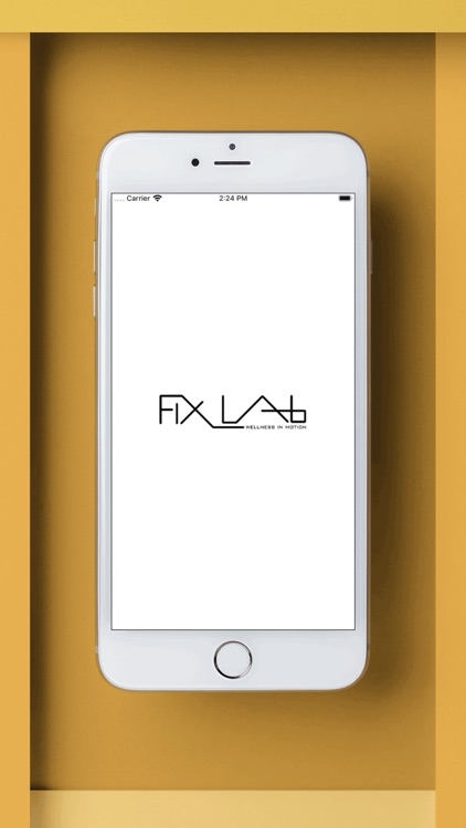 FixLab