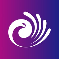 织里中国童装城 pour PC