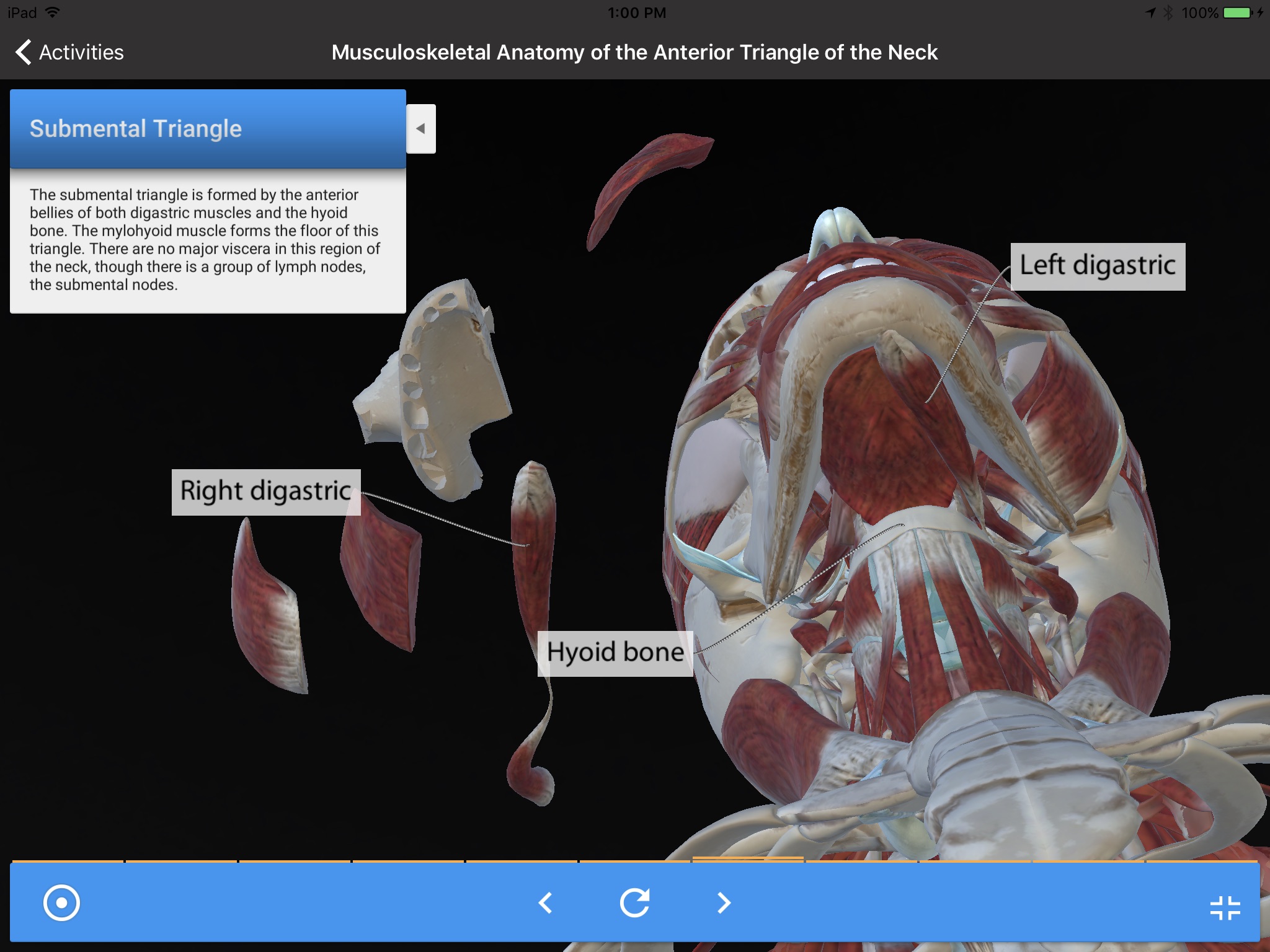 Gale Interactive Human Anatomy screenshot 2