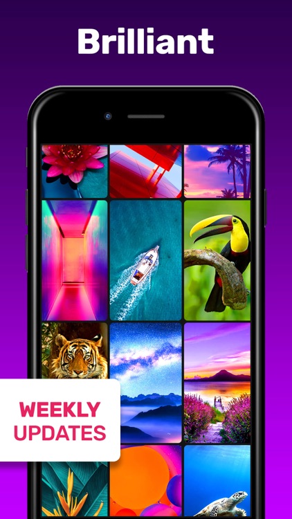 Live Wallpaper & Wallpapers HD screenshot-4