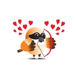 Pride Shrikes