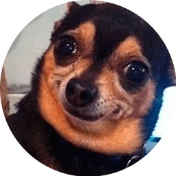 Best Dog Stickers HD for Chat