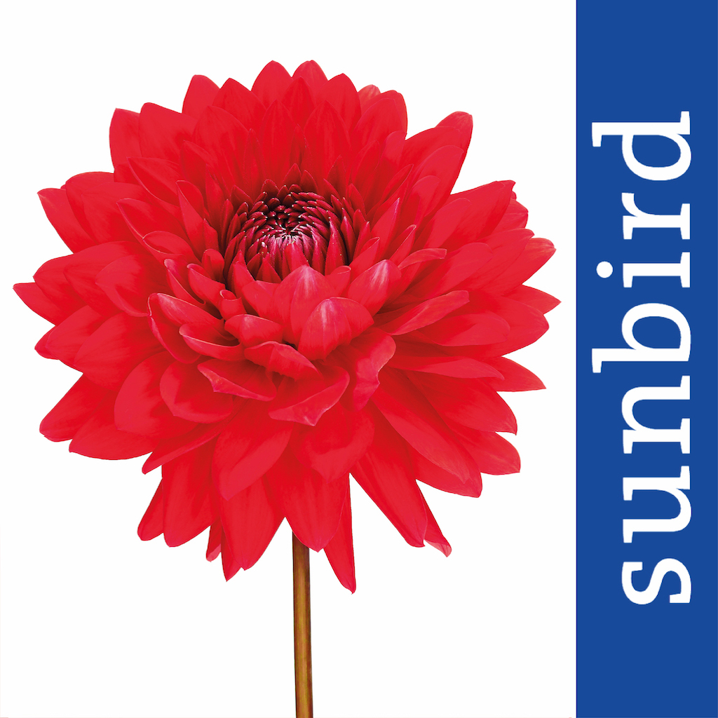 Get Der Garten-Profi for iOS, iPhone, iPad Aso Report