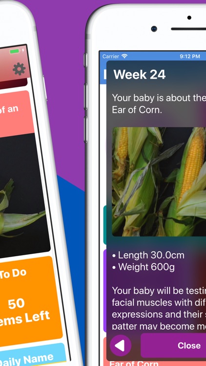 Pregnancy Tracker Your Journey screenshot-3