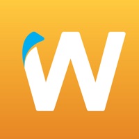 Wrapify Reviews