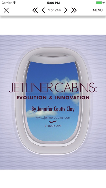 Jetliner Cabins