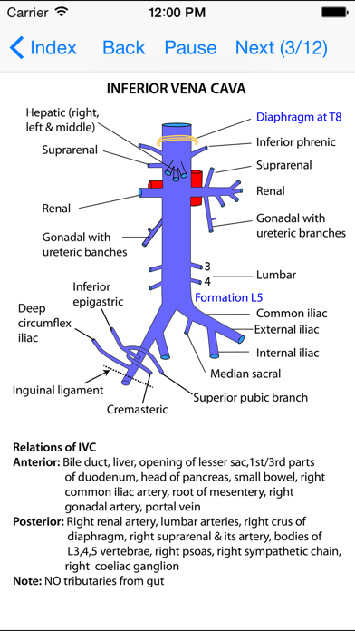 App Shopper: Anatomy Thorax and Abdomen (Medical)