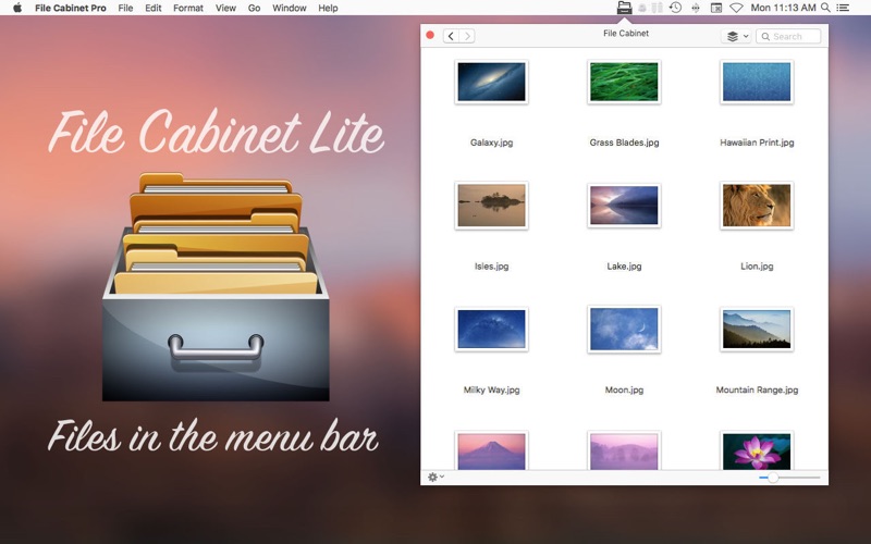 File Cabinet Lite screenshot1