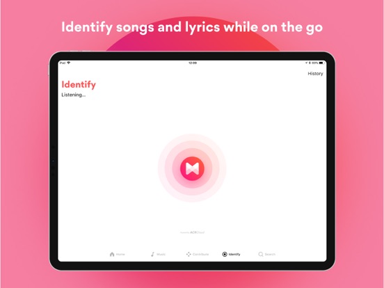 Musixmatch Lyrics Finder screenshot