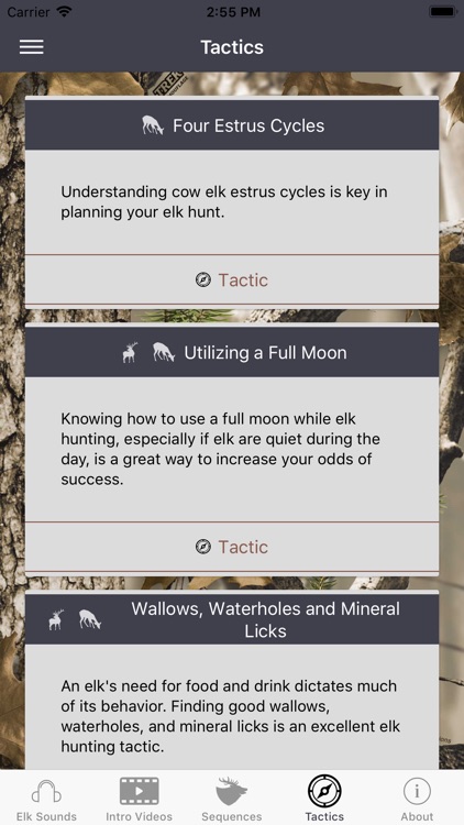 ElkNut screenshot-7