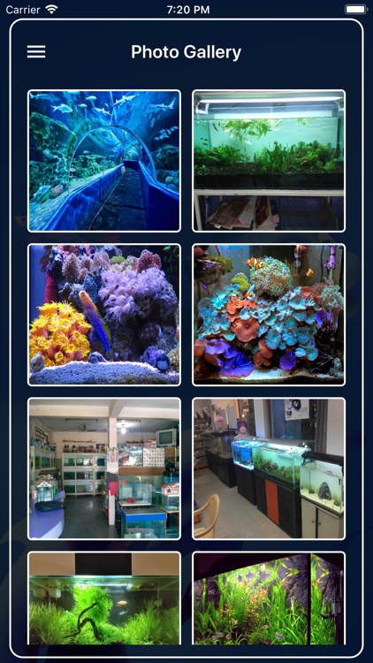 Chennai Aquariums screenshot-7