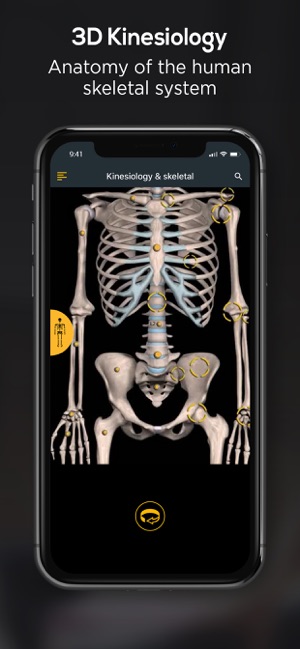 Anatomy by Muscle & Motion(圖4)-速報App