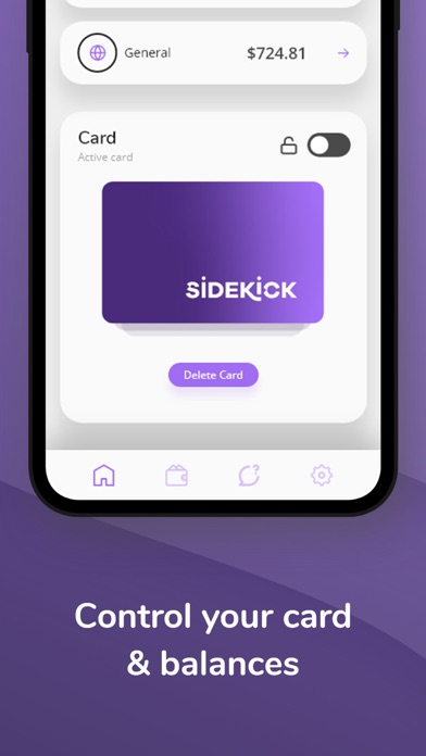 SideKick Card screenshot 4