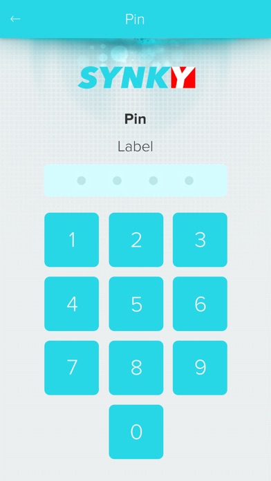 Synky screenshot 3