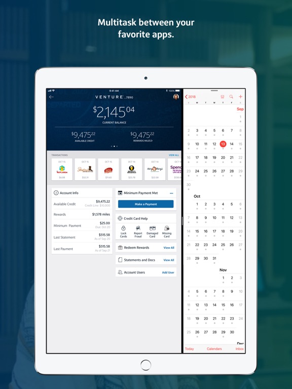 iPad Image of Capital One Mobile