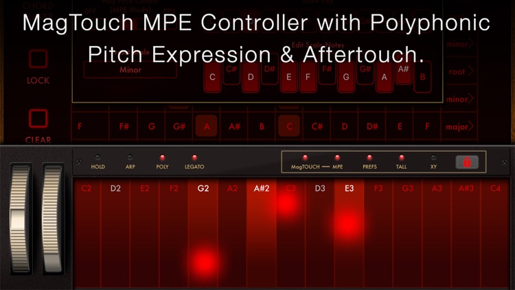 Magellan Synthesizer 2 screenshot-6