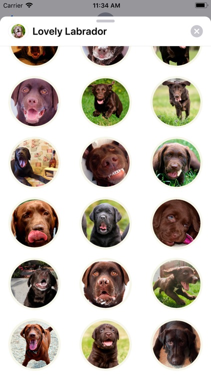 Lovely Labrador Sticker Pack