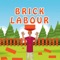 Brick Labour-Help the hardworking brick labour man to collect bricks