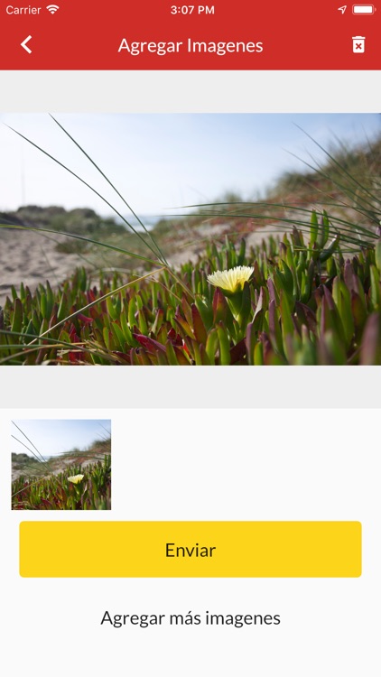 Limpiemos Tuxtla screenshot-3